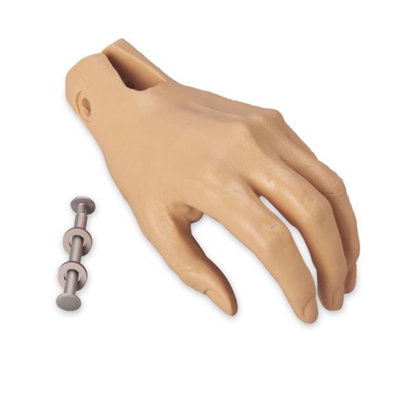 Hand Manikin Replacement Left Ea